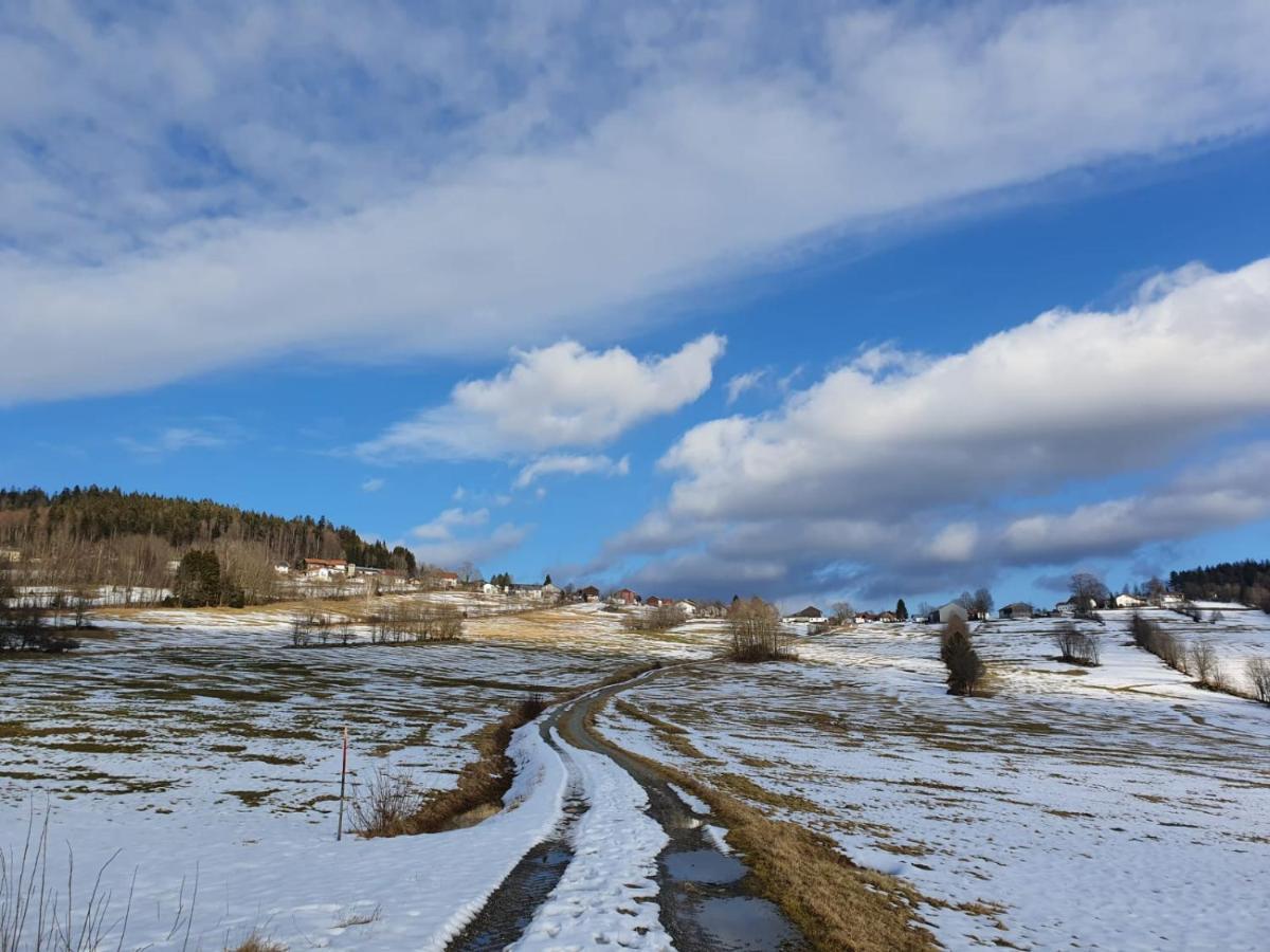 Haus Bergblick Lejlighed Mauth Eksteriør billede